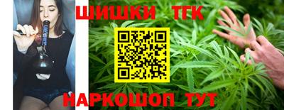амф Кингисепп