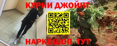амф Кингисепп