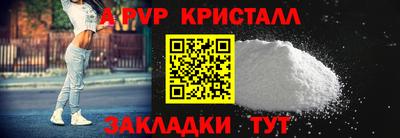 амф Кингисепп