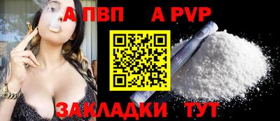 амф Кингисепп