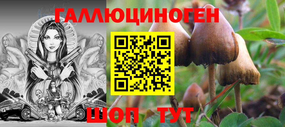 Галлюциногенные грибы ЛСД Чернушка