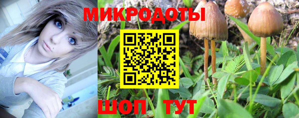 где продают   Псилоцибиновые грибы ЛСД  Чернушка  Вход с VPN  Псилоцибиновые грибы MAGIC MUSHROOMS 
