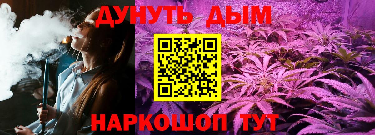 Марихуана семена  Марихуана AK-47  Чернушка  Конопля план  Каннабис THC 21%  Вход с VPN 